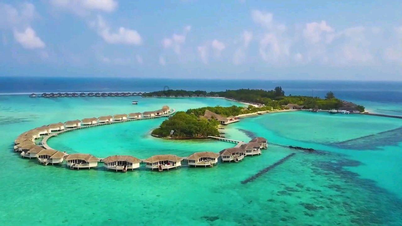 逃离梦想花园